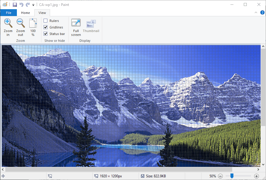 Image with gridlines how to add grid lines in paint