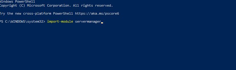 Windows PowerShell (Admin) command - How to check .net version Windows Server