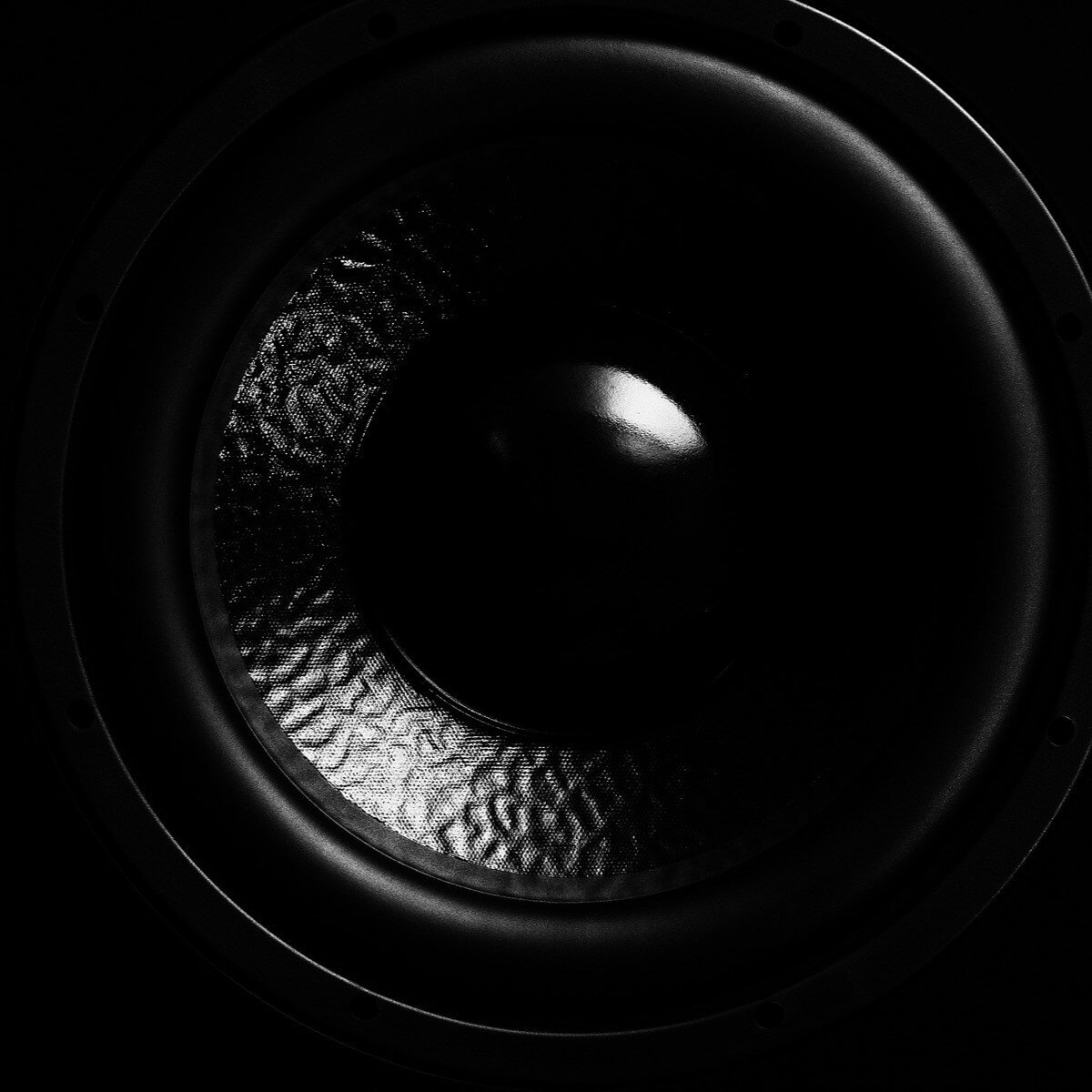 Black friday enhanced bass speakers - subwoofer membrane close-up