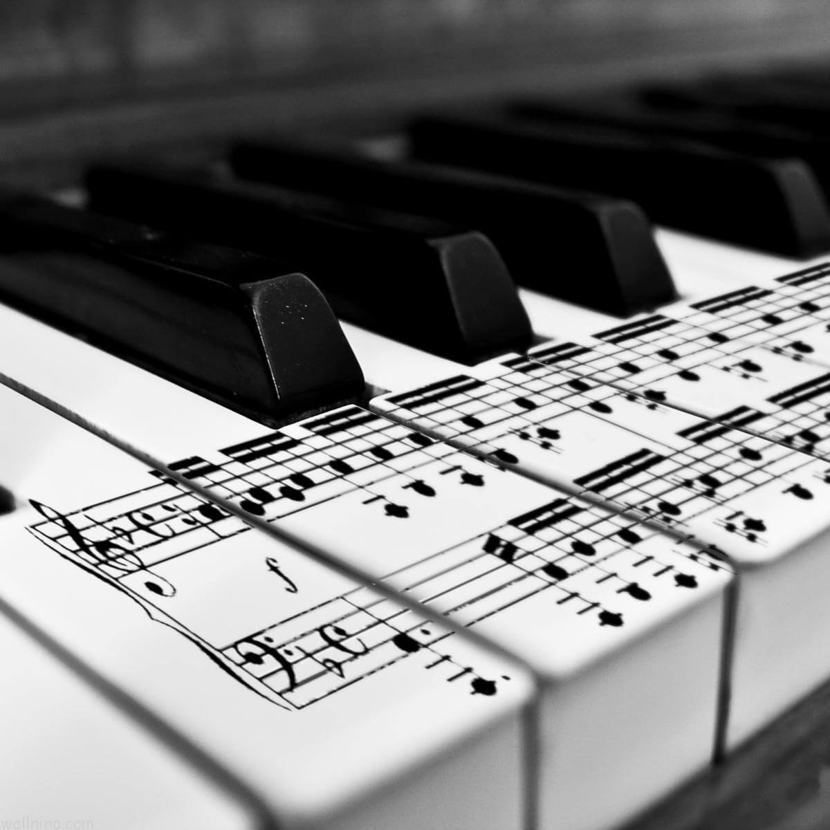 Casio digital pianos