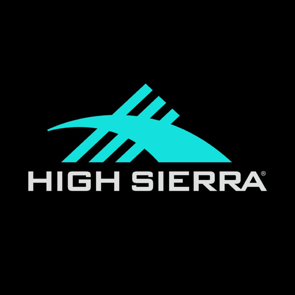 High Sierra backpacks for High School & College