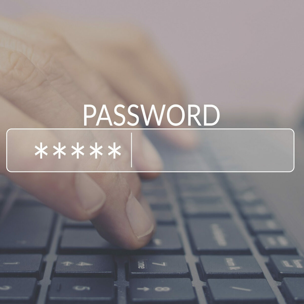 Best Windows 7 Password Recovery Software 2021 Guide - roblox password cracker download 2021