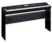 Casio Digital Pianos