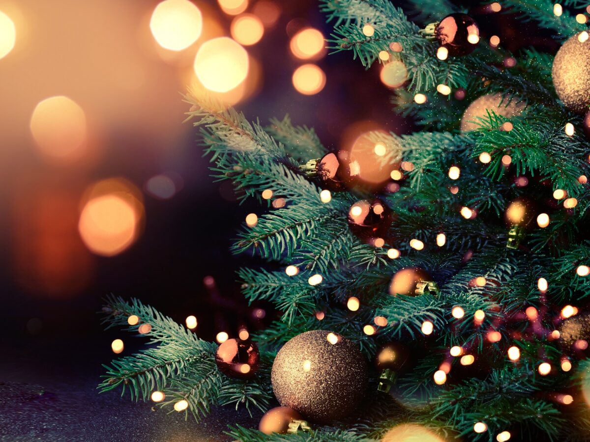 real christmas tree background