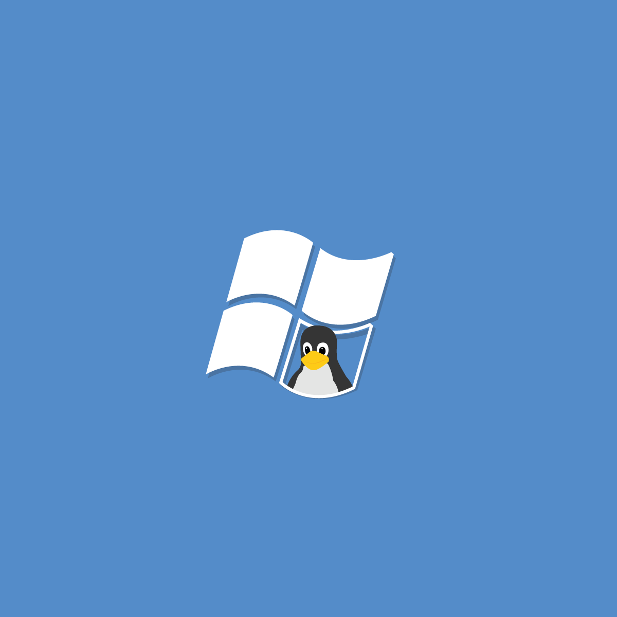 windows linux