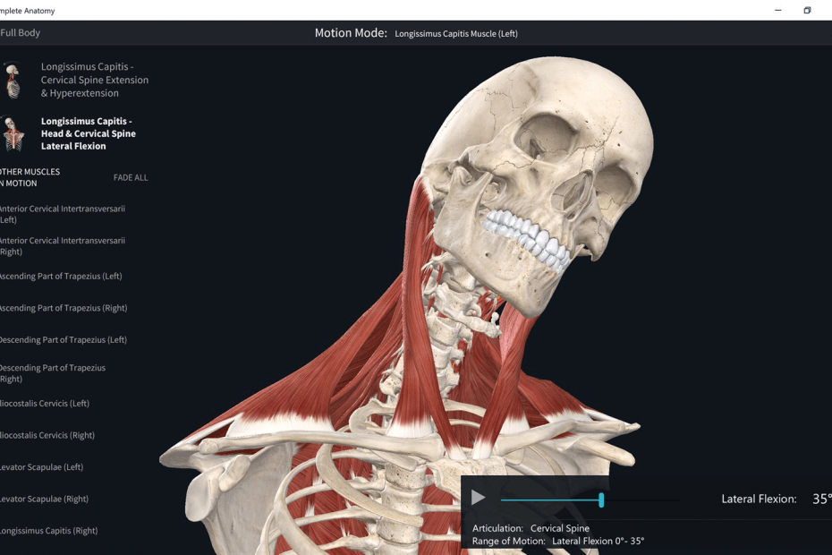 essential anatomy 3 download