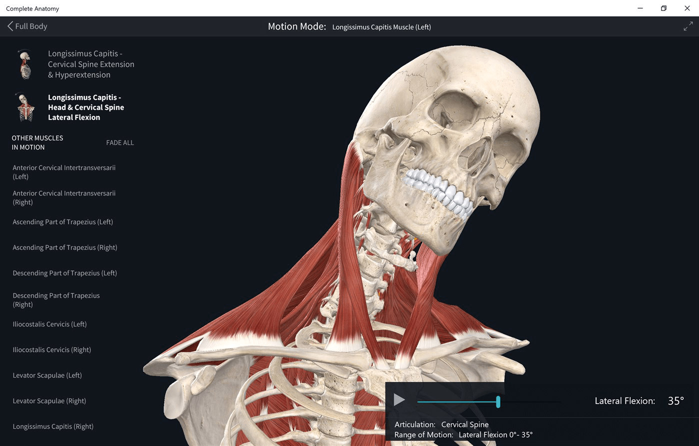 update complete anatomy