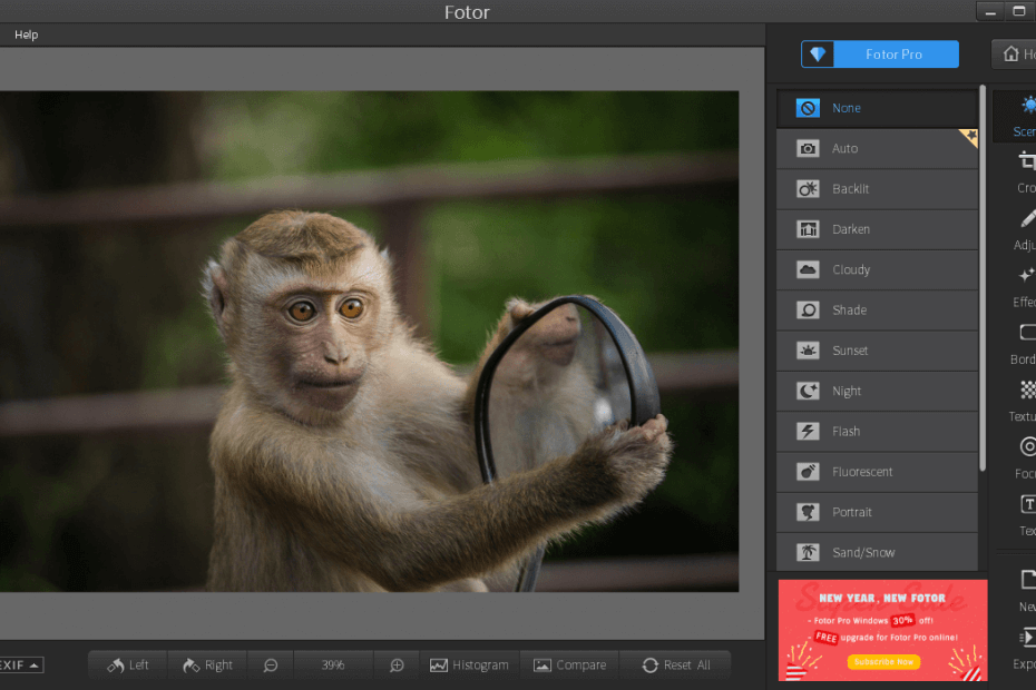 Download full Fotor Photo Editor for Windows [ No Malware ]