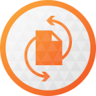 Paragon Backup and Recovery logo