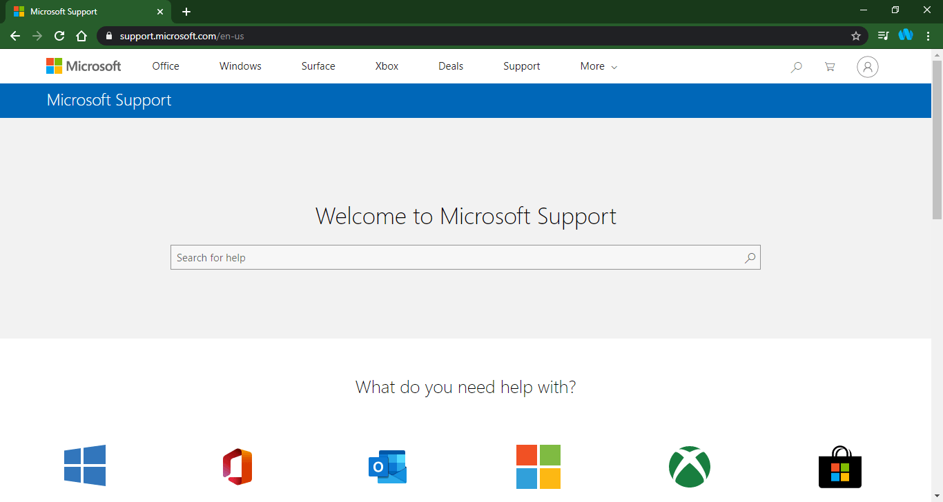 ms support page