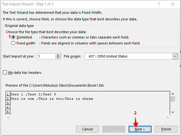Excel Text Import Wizard 1