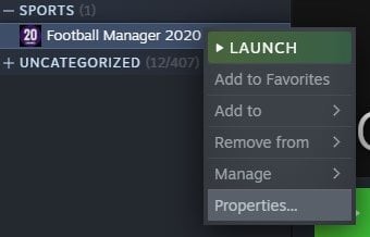 football manager 2022 pc steam