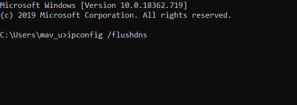 The flushdns command An Existing Connection was Forcibly Closed by the Remote Host