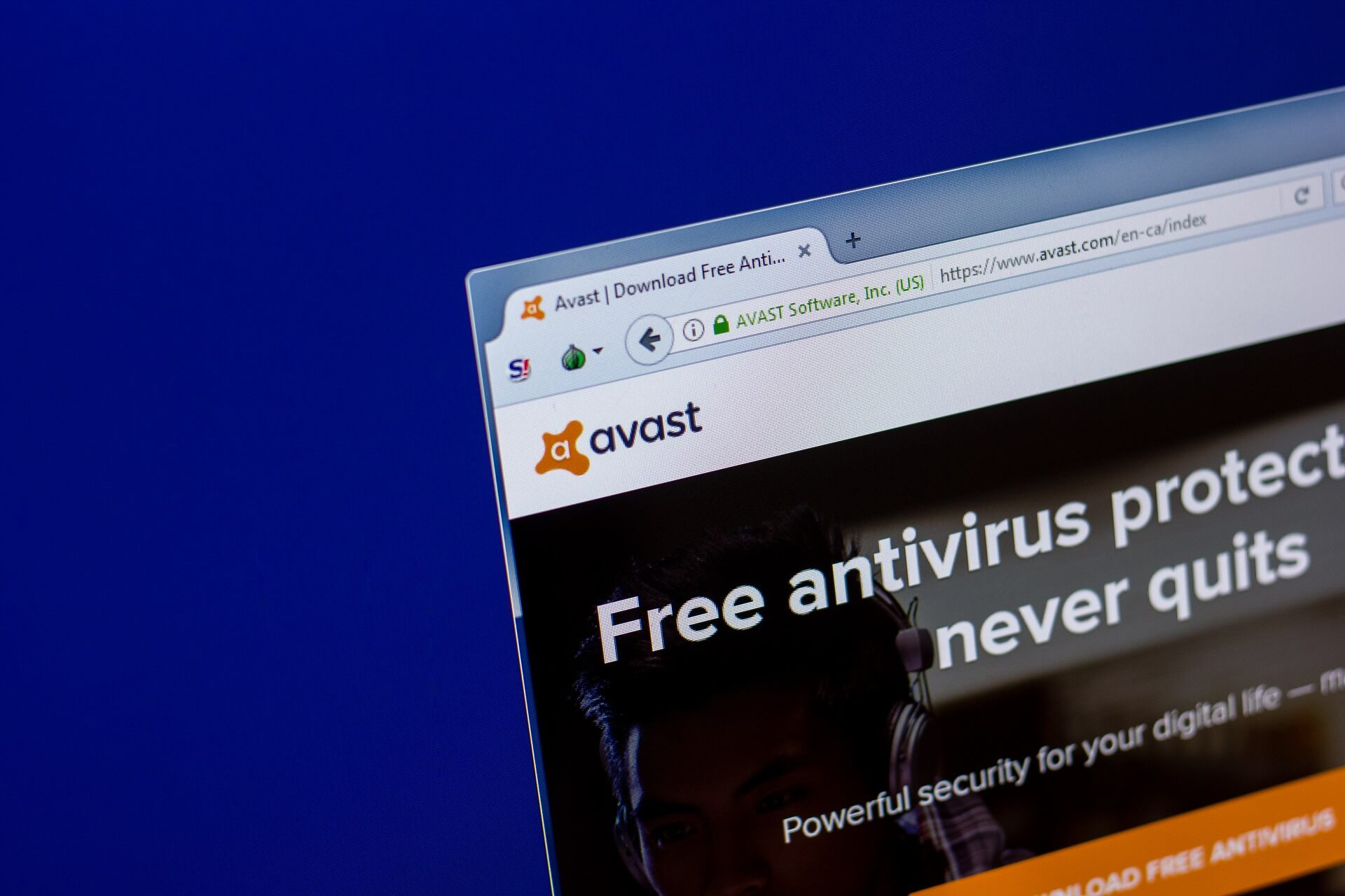 renew avast free browser
