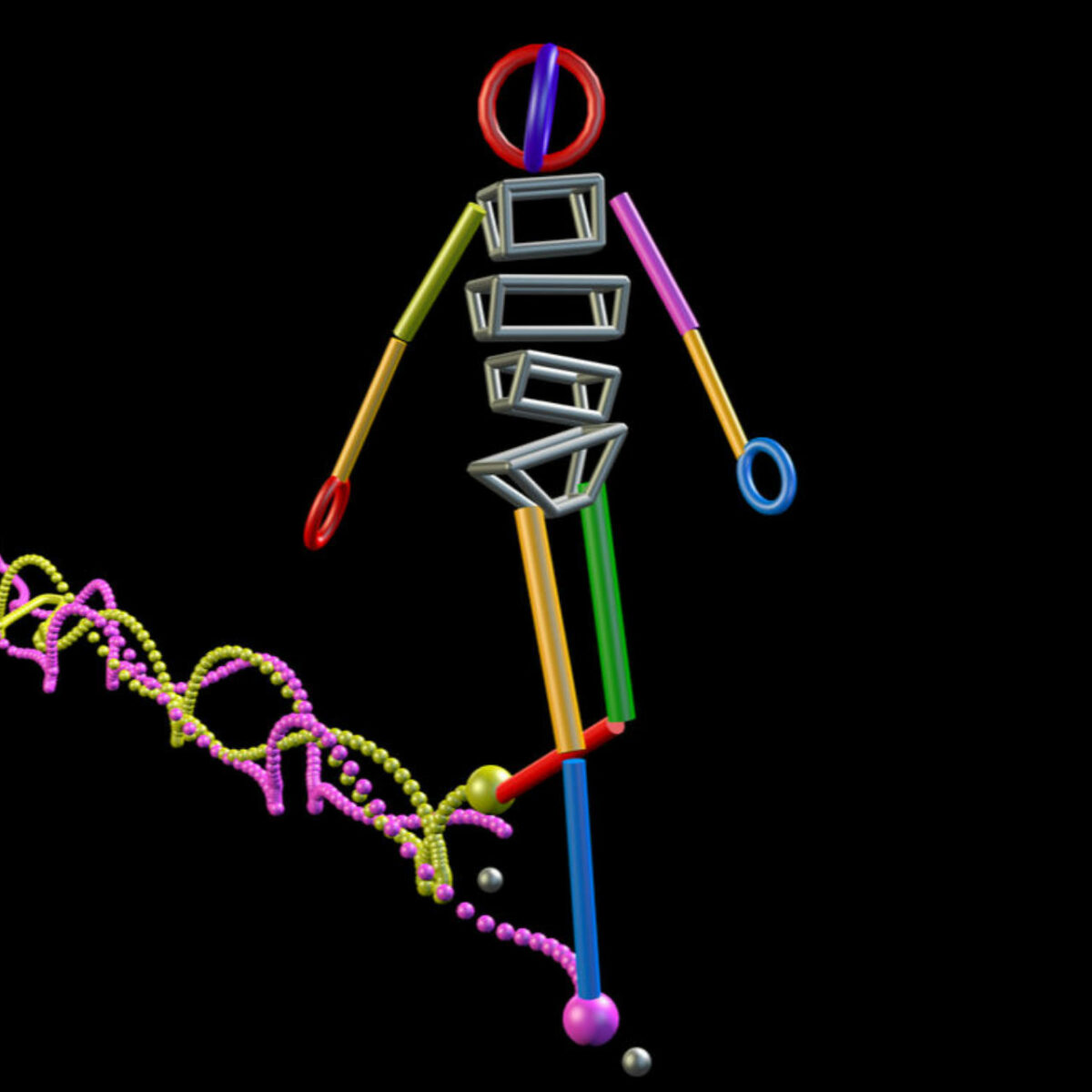 relative-gr-e-pianist-stammbaum-motion-capture-3ds-max-selbst-blatt