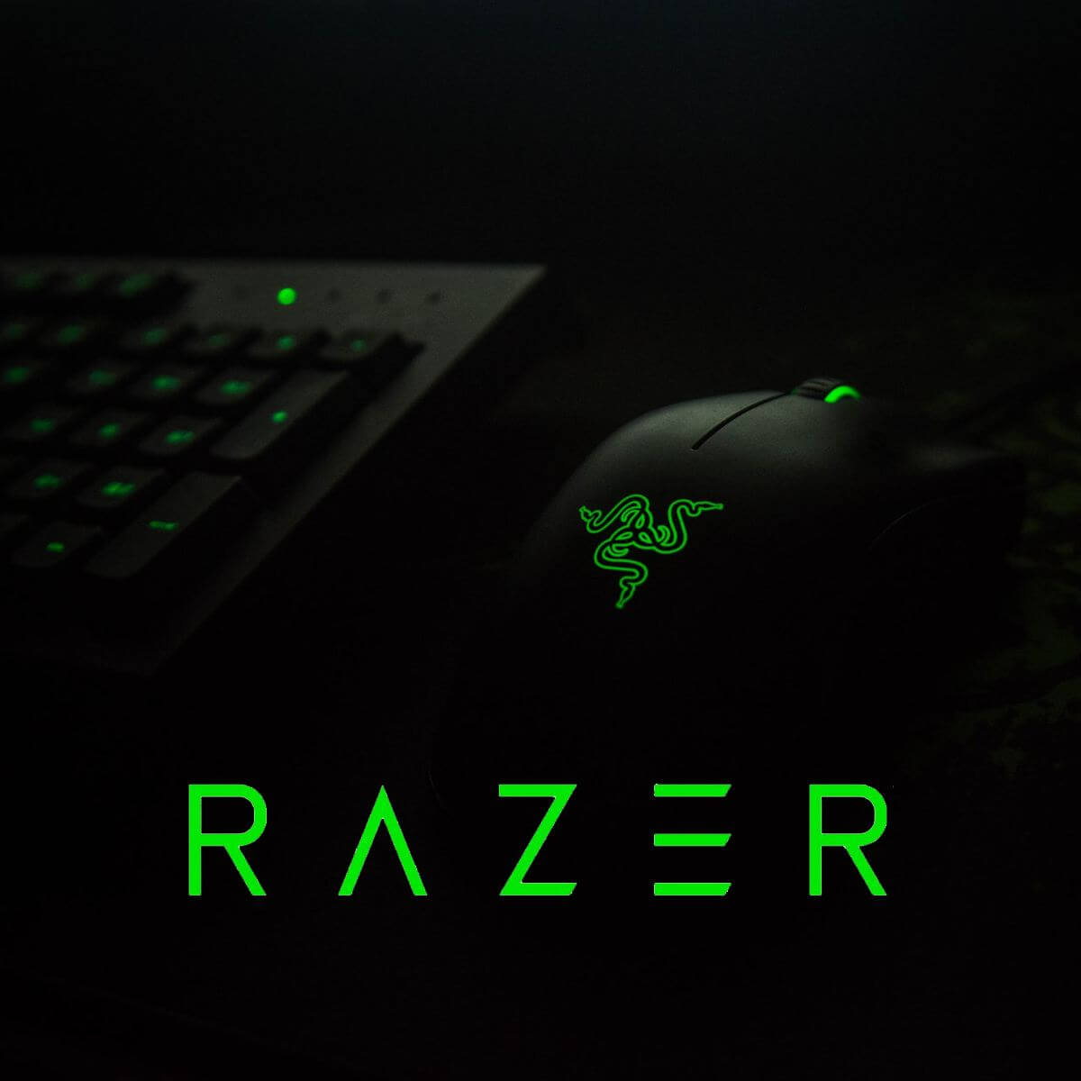 Razer Mouse Driver Proper Installation Guide On Windows 10