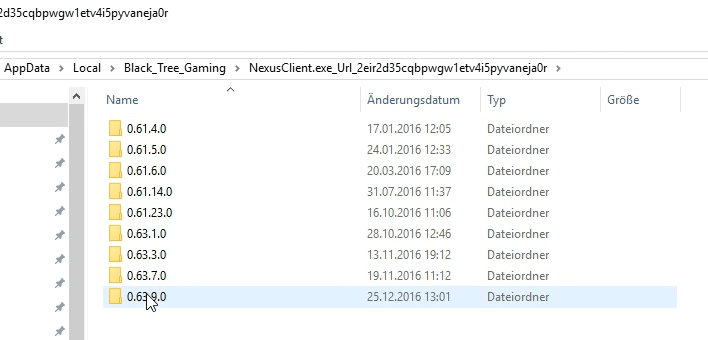 NexusClient.exe folder nexus mod manager not opening
