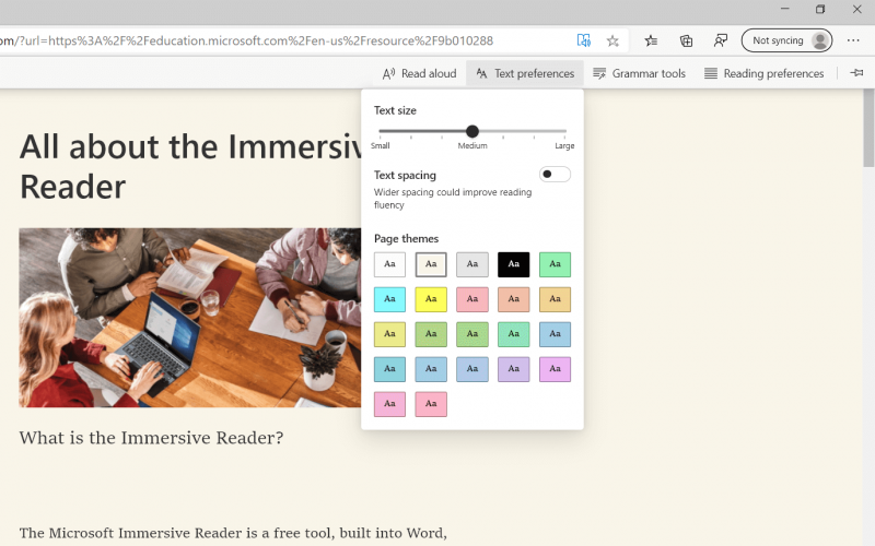 how to change text preferences in Immersive Reader