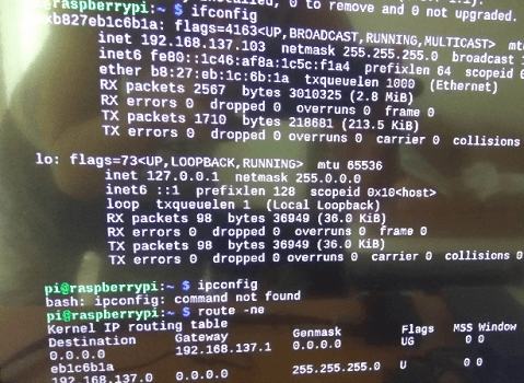 Raspberry Pi IP