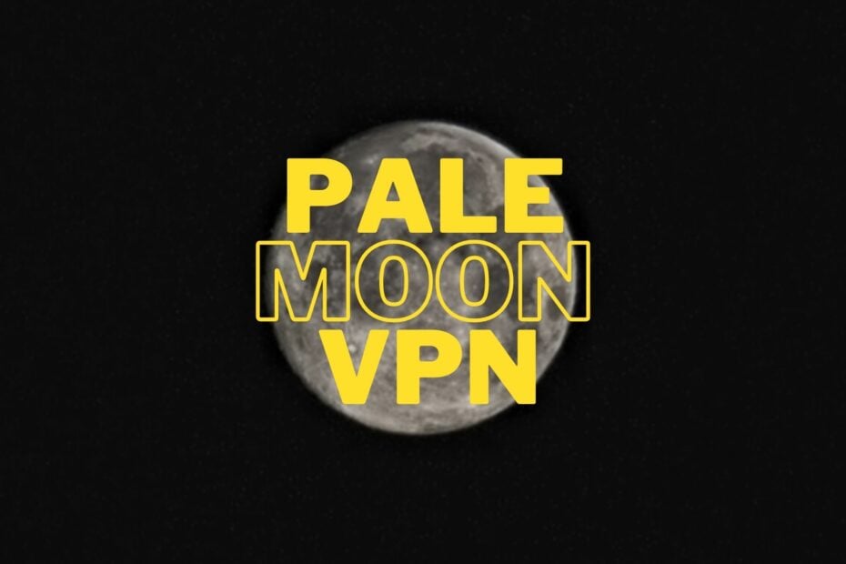 best web browser pale moon