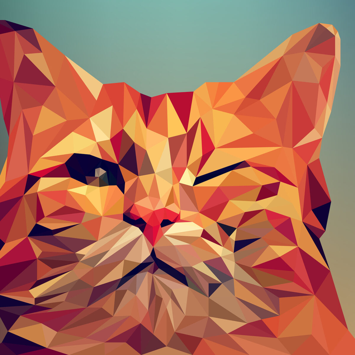 Image Tracing Software for PC: 7 Best to Use in 2023
