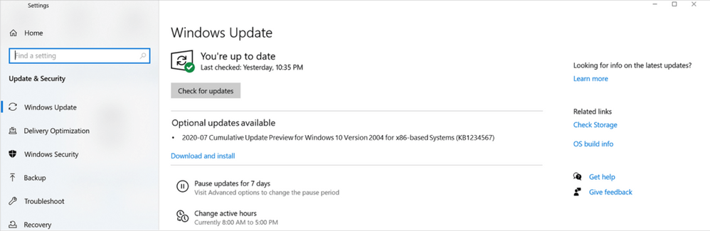 Windows 10 optional update example