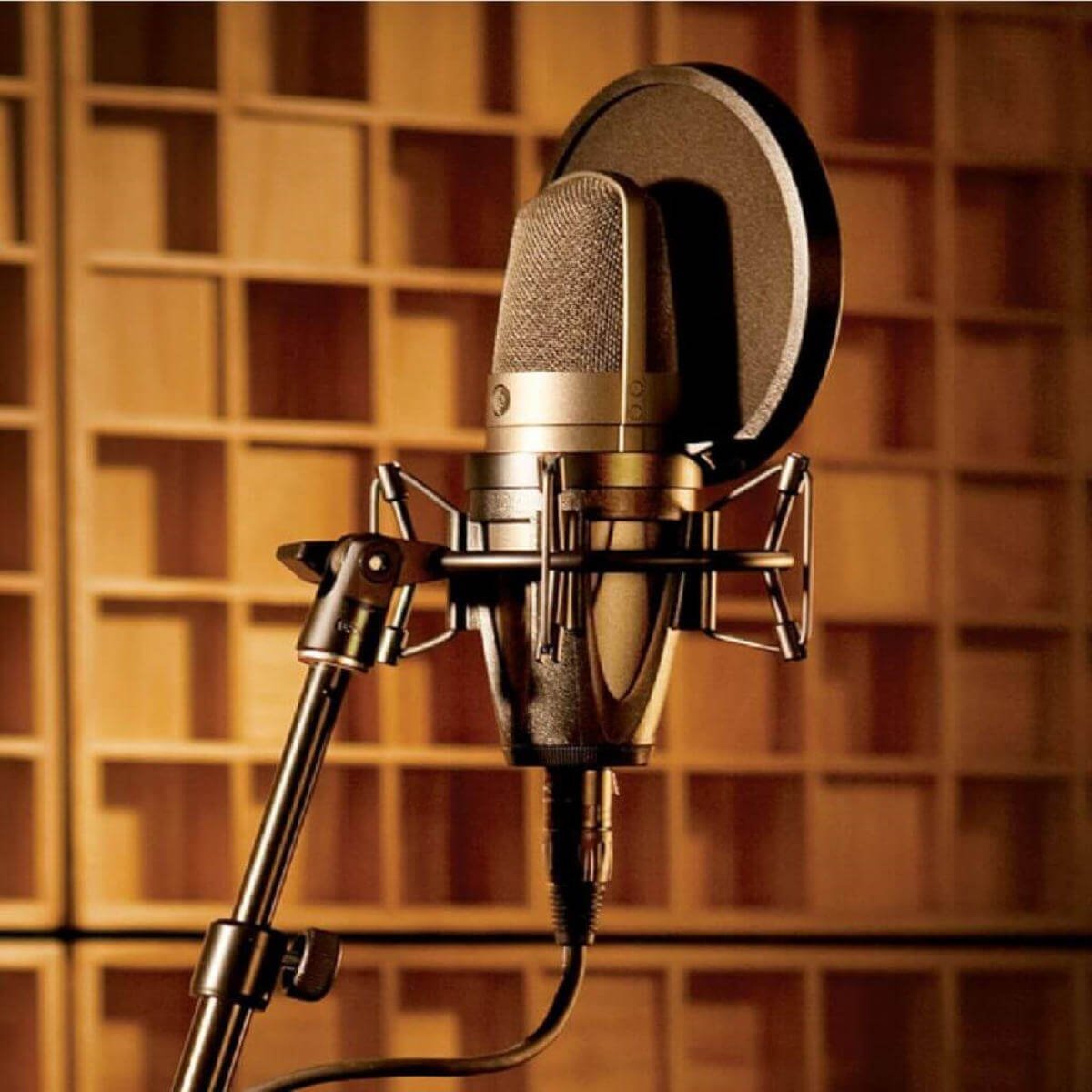 What Does A Condenser Microphone Mean