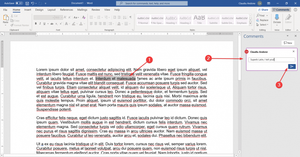 How to add a comment in Microsoft Word