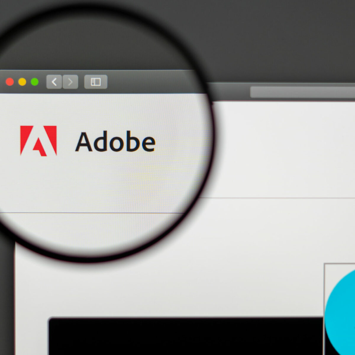 adobe should optomize for mac