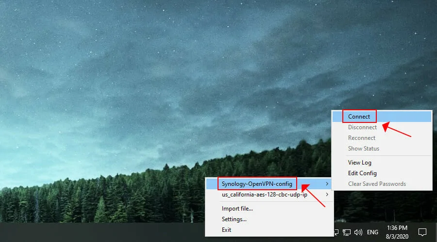 connect to Synology OpenVPN server on Windows 10