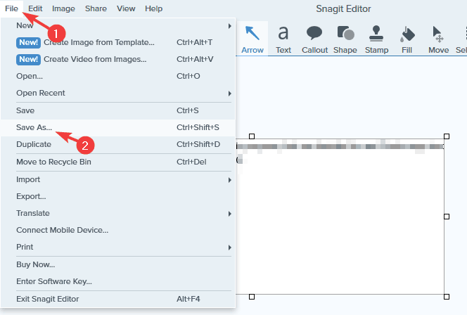 file save as snagit save screenshot as pdf windows 10