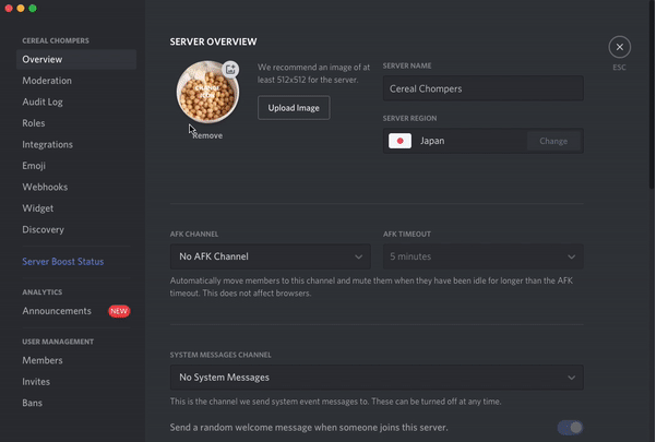 Discord music bot lagging? Here's how to fix it