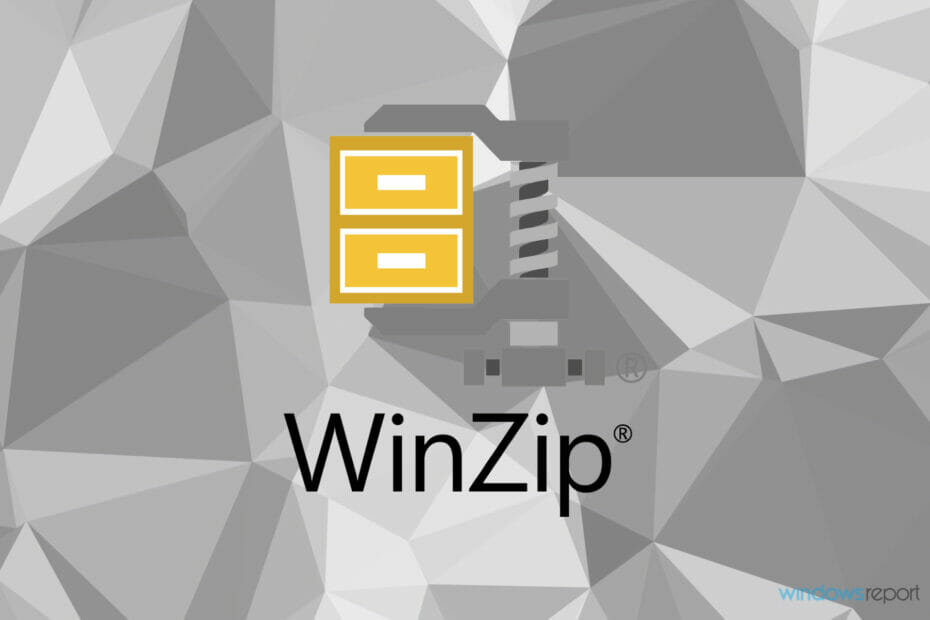 what does both winzip and winrar