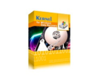 Kernel Data Recovery