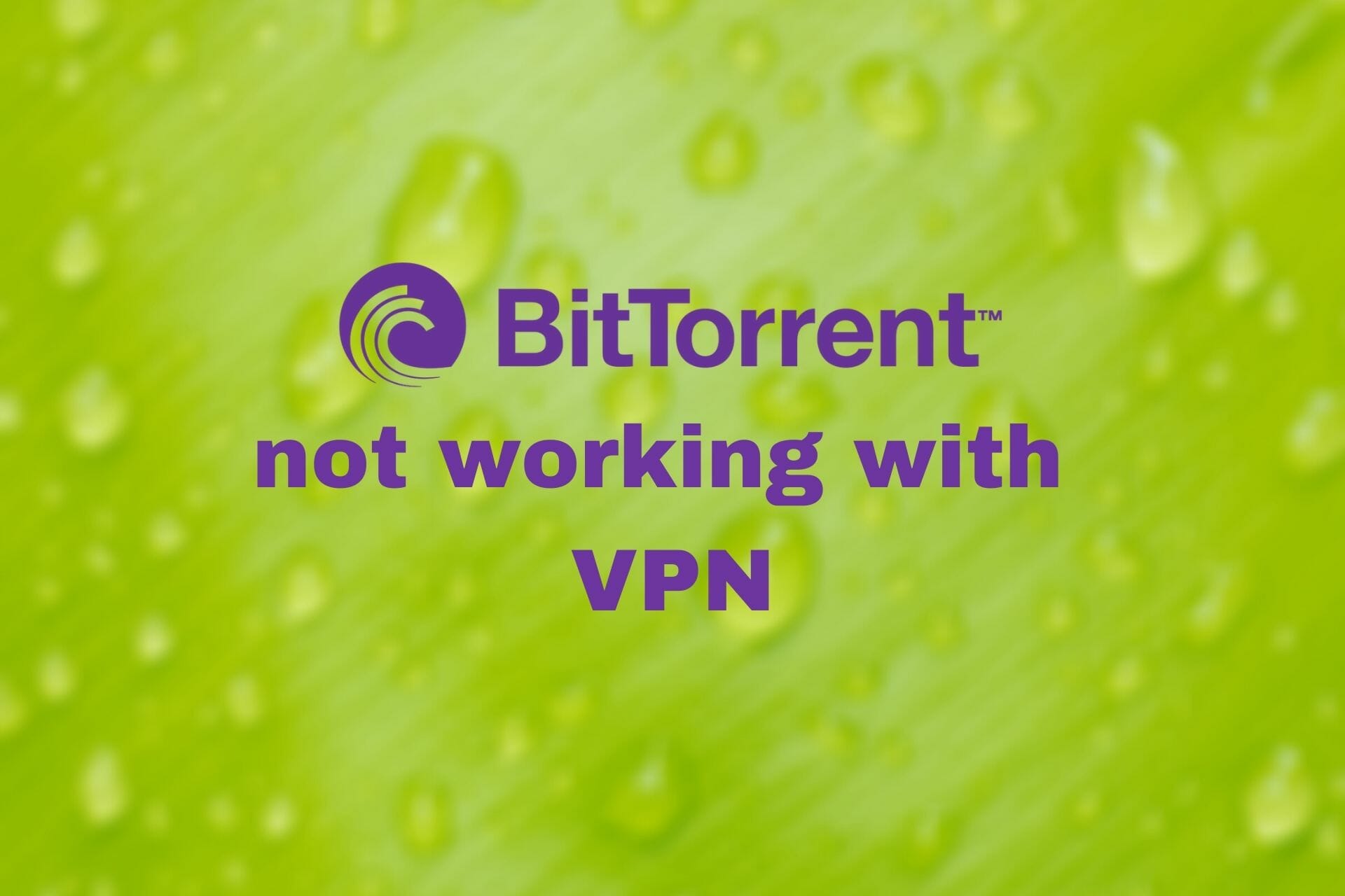 BitTorrent not working with VPN