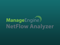 NetFlow Analizer