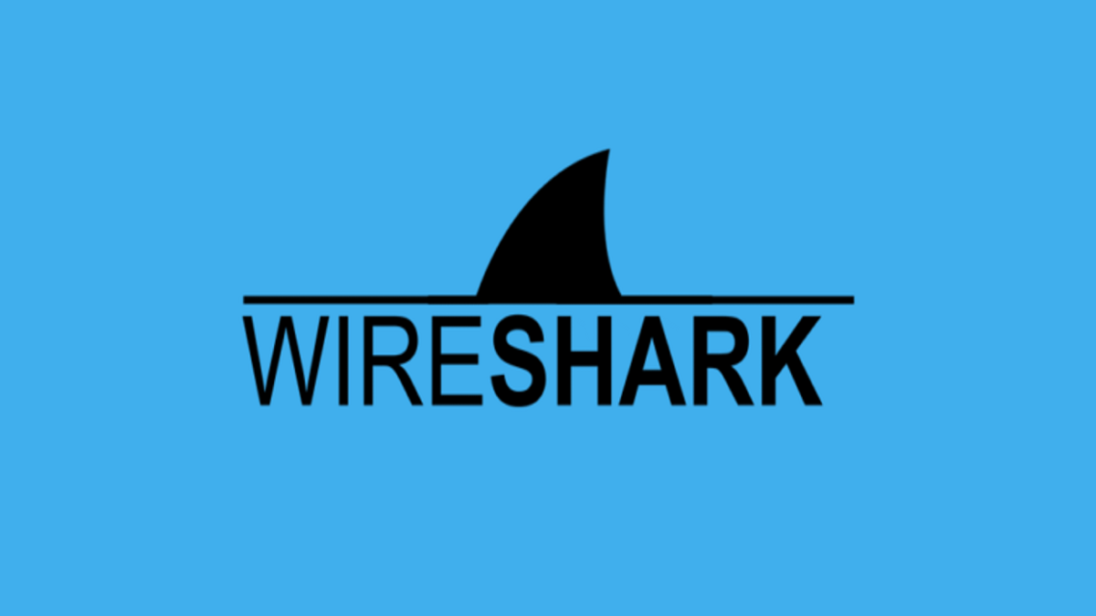 wireshark pcap analysis logo