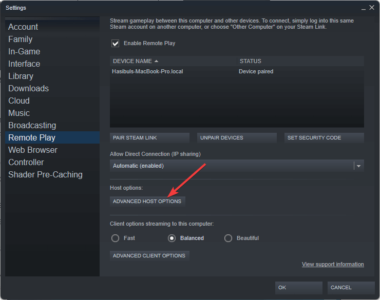 clicking on advanced host option steam settings