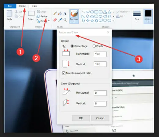 Resize and Skew in Paint