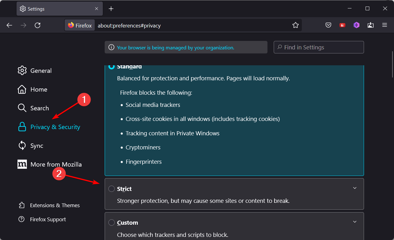 strict-privacy firefox parental controls