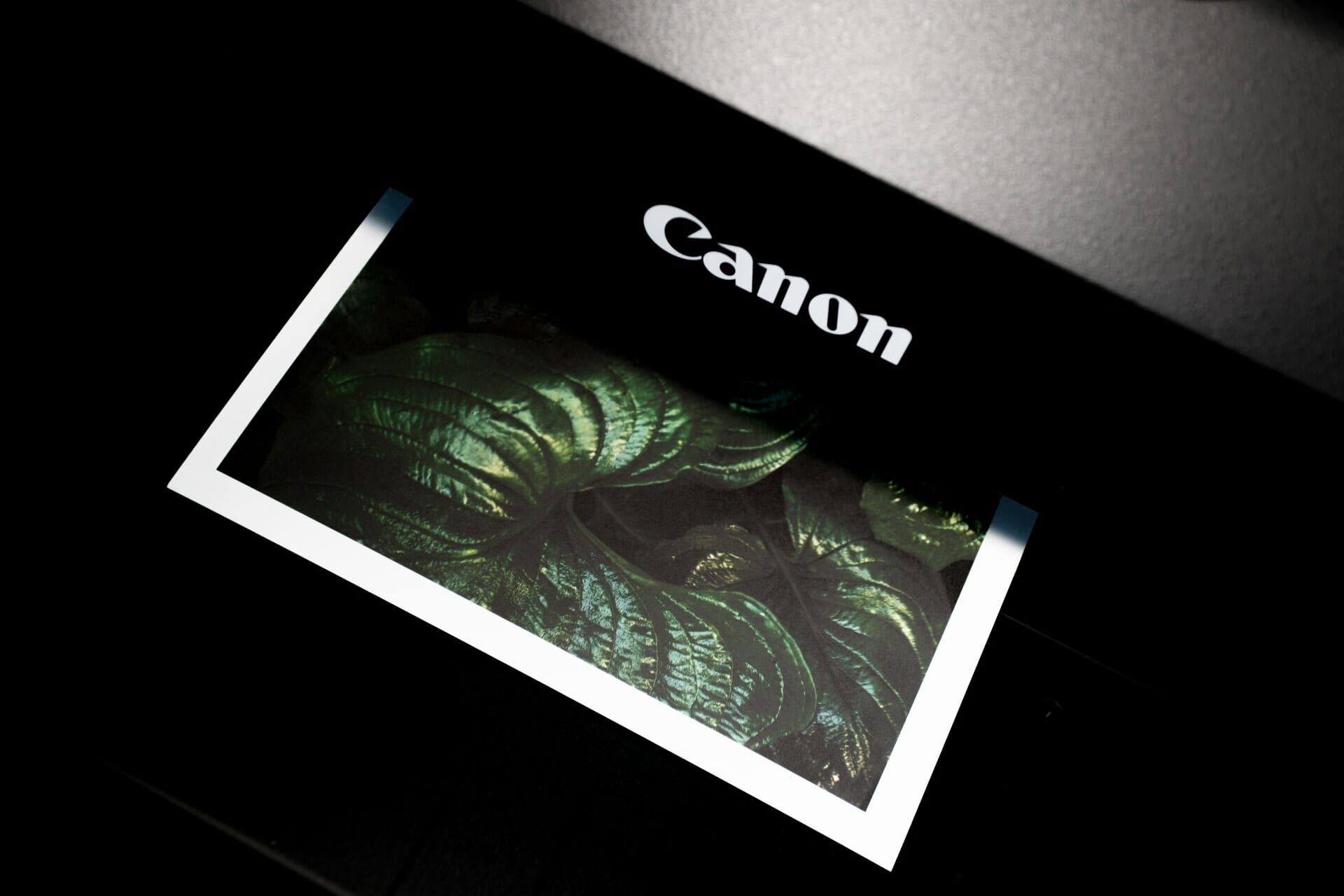 canon pixma ip2770 error 5b00 software