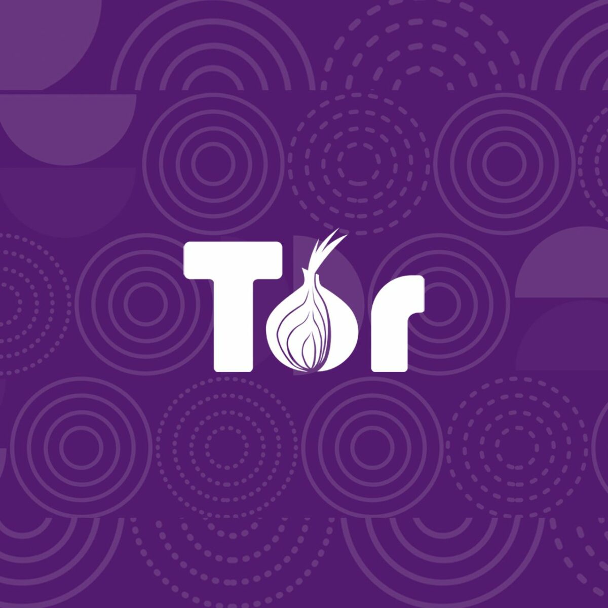tor browser для виндовс 10 hyrda