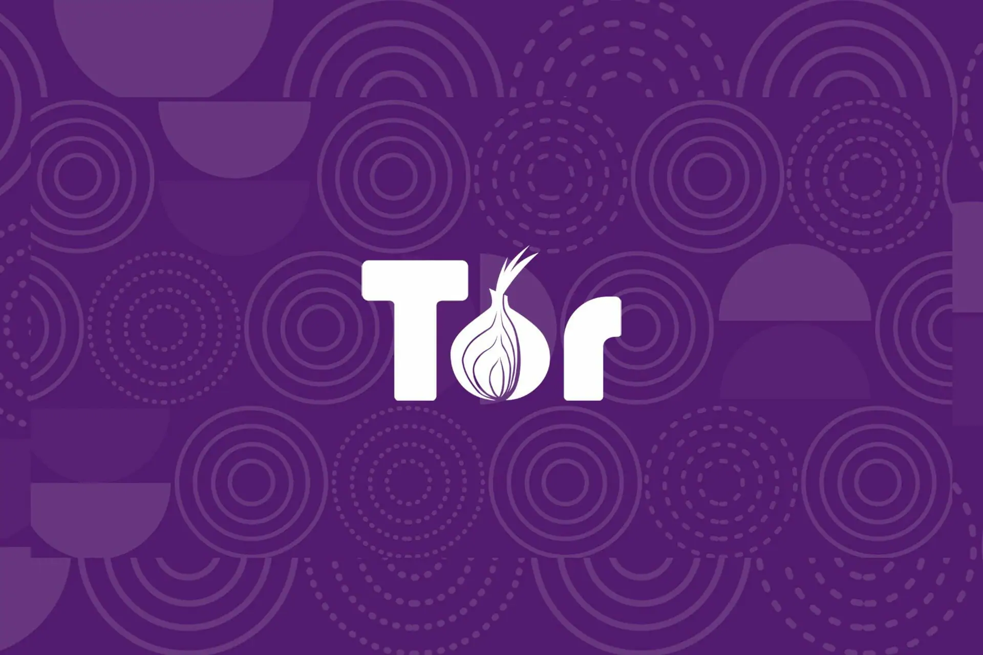 Tor browser скачать на виндовс 10 тор браузер установка в линукс hidra
