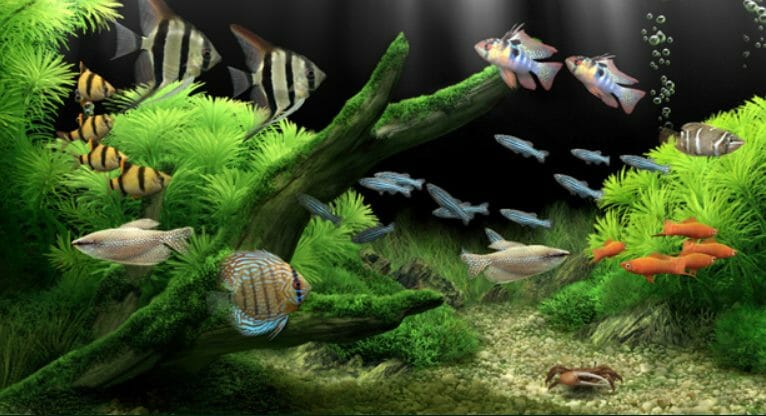 Aquarium 3d Live Wallpaper For Pc Image Num 94