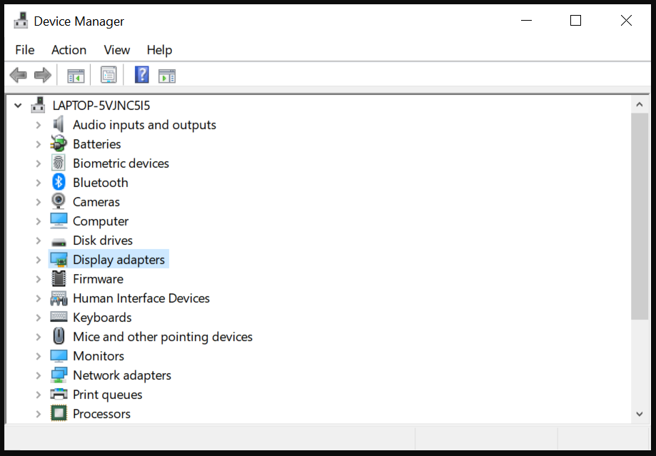 not showing display adapter device manager