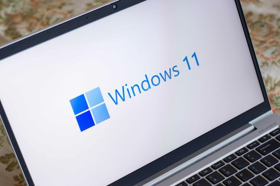 windows 11 download insiders