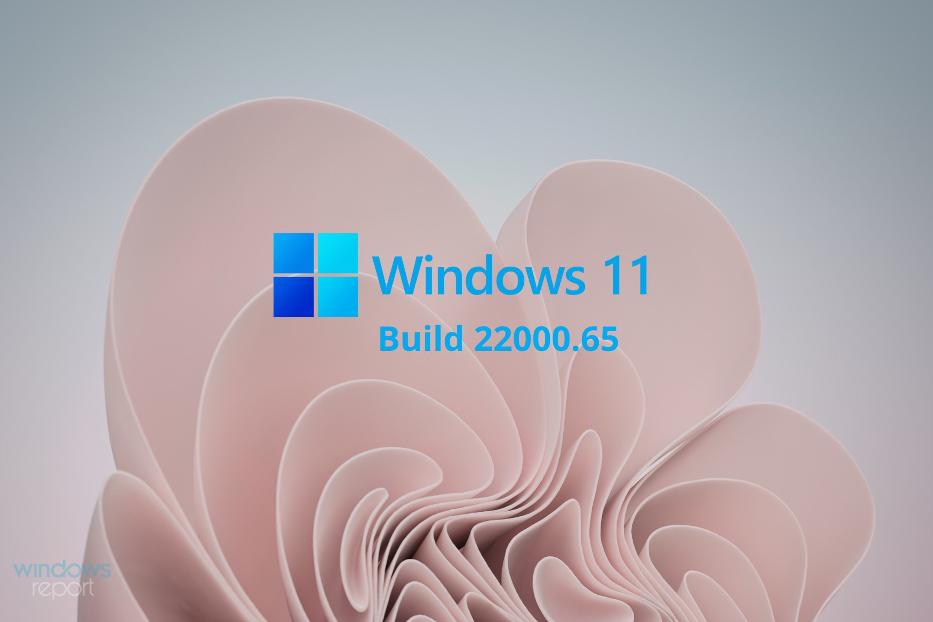 Windows 11 Build 22000.65 review