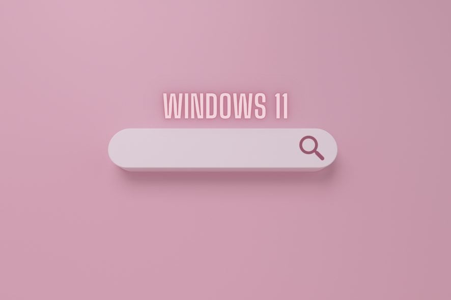 windows 11 22000.65 search bar