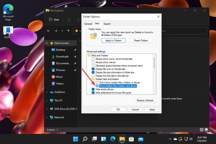 toggle to view hidden files and folders windows 11