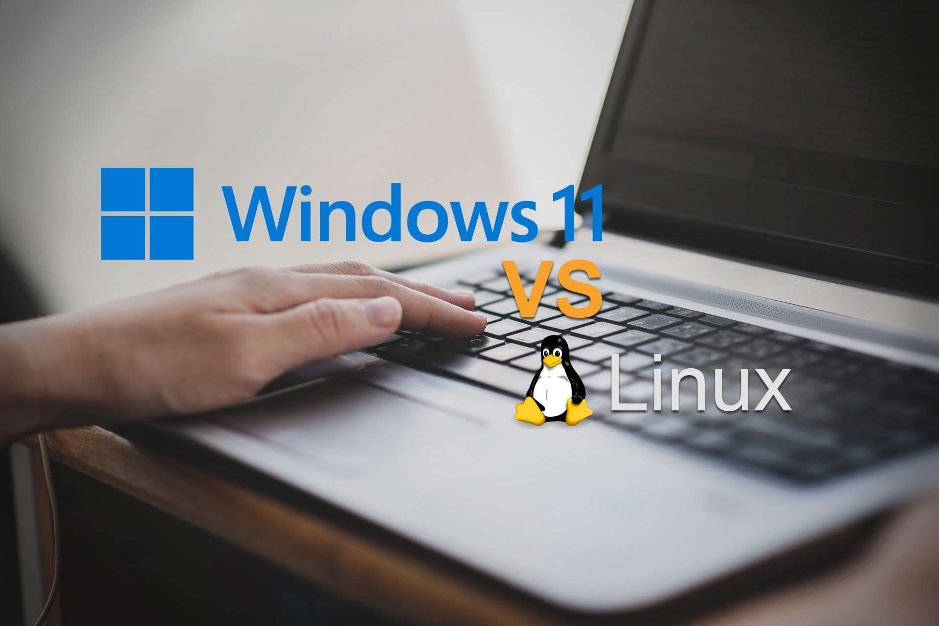 windows 11 vs linux